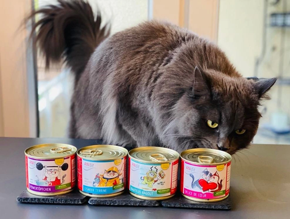Anifit Premium Katzenfutter Testsieger - Schwedisches Nassfutter mit 99% Fleischanteil